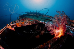 RED LIGHT
A colourful view of the bow of the sunken Prin... by Mona Dienhart 